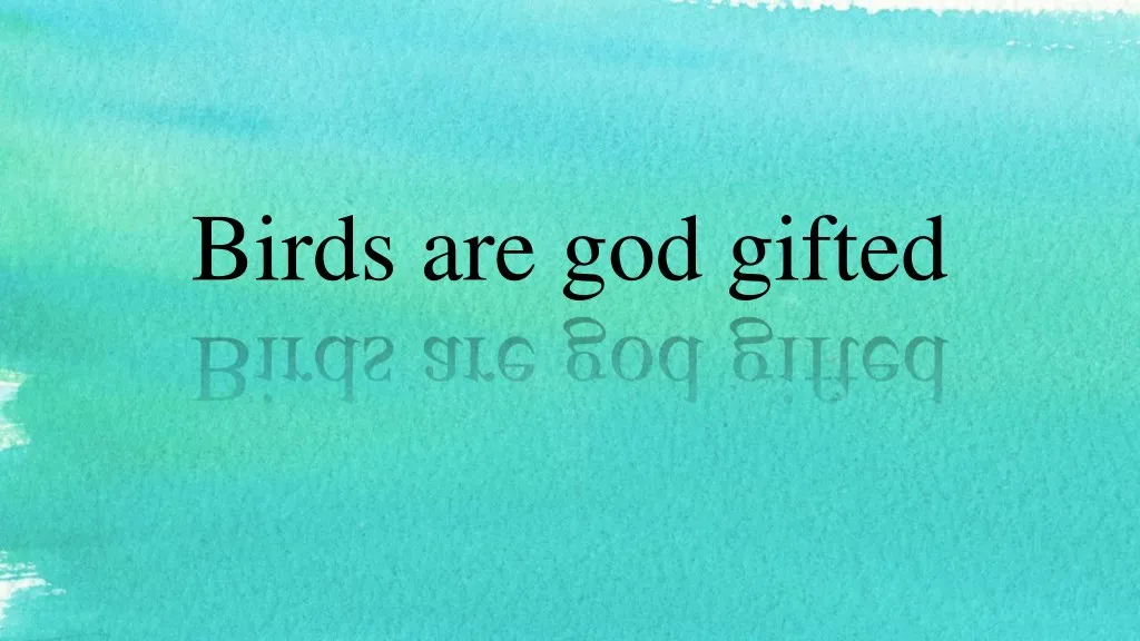 birds are god gifted