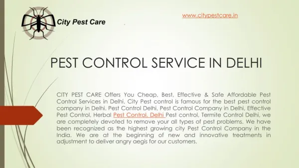 PEST CONTROL SERVICES IN NEW DELHI