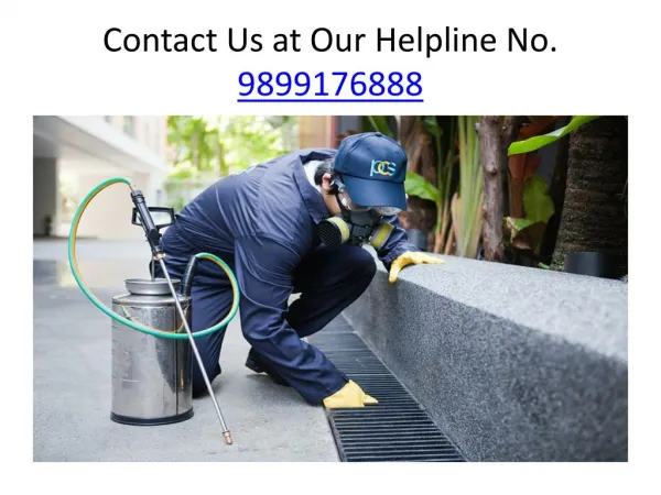 Hire the ZX Pest Control for Your Safety from Pests