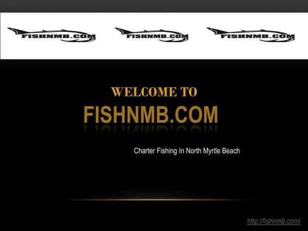 Charter Fishing In Myrtle Beach