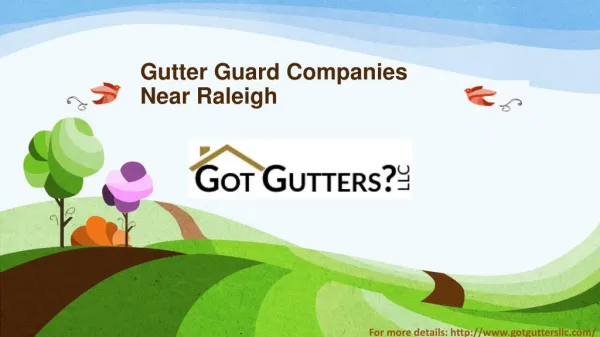Gutter Guard Companies Near Raleigh