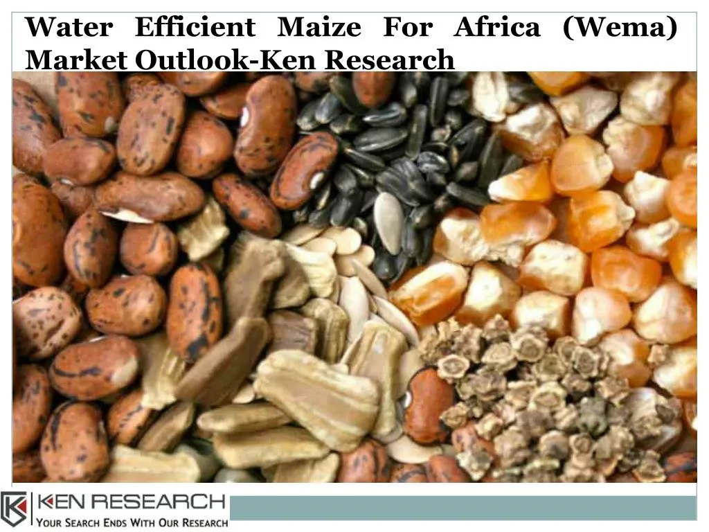water efficient maize for africa wema market