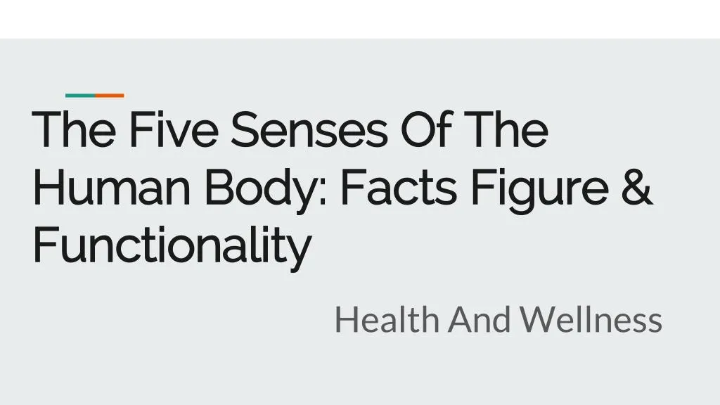 the five senses of the human body facts figure functionality