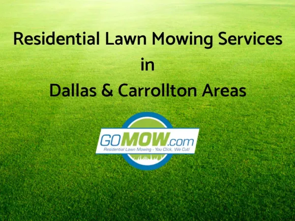 Need lawn mowing services in Dallas, Texas?