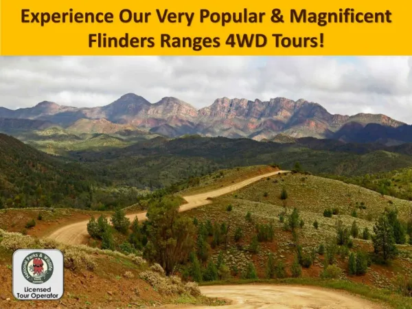 Experience Our Very Popular & Magnificent Flinders Ranges 4WD Tours!