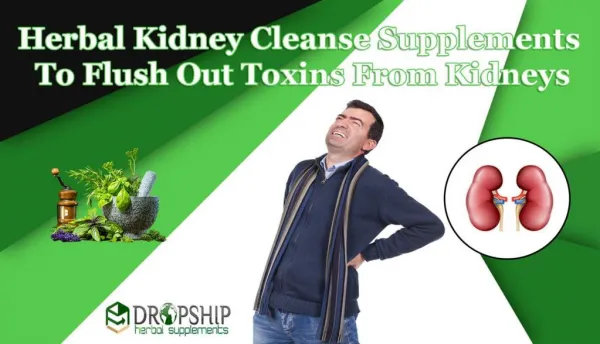 Herbal Kidney Cleanse Supplements to Flush out Toxins from Kidneys