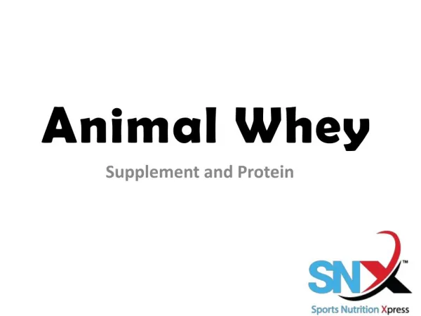 Buy Animal Whey Protein Isolate Online in India