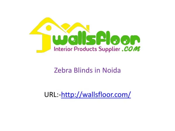 zebra blinds in noida
