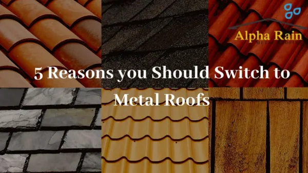 Environmentally Friendly | Reason to Choose Metal Roof