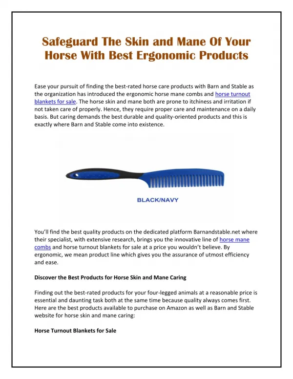 Safeguard The Skin and Mane Of Your Horse With Best Ergonomic Products
