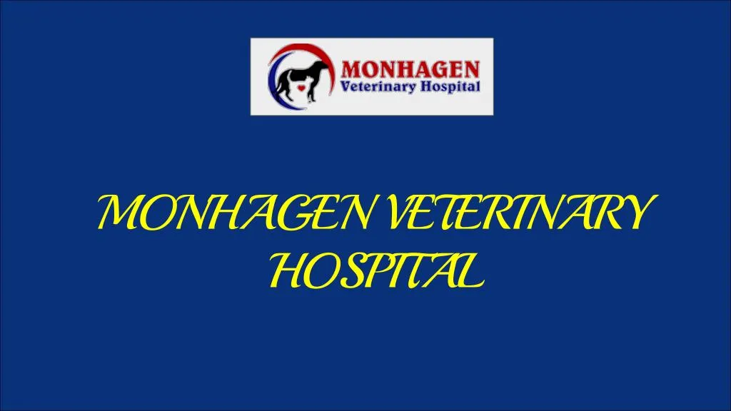 monhagen veterinary hospital