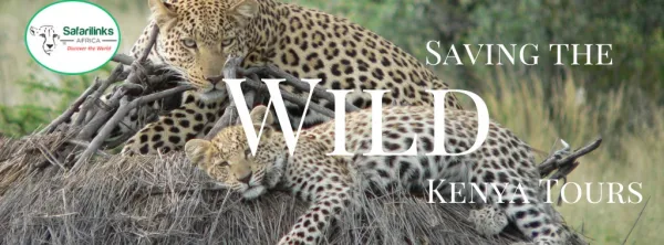 Experience the Scenic Beauty through Kenya Camping Safaris