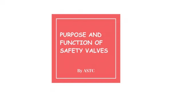 Safety Relief Valve Suppliers | Ali Salman Trading Company