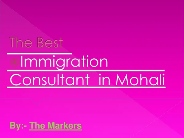 The Best immigration consultant in Mohali
