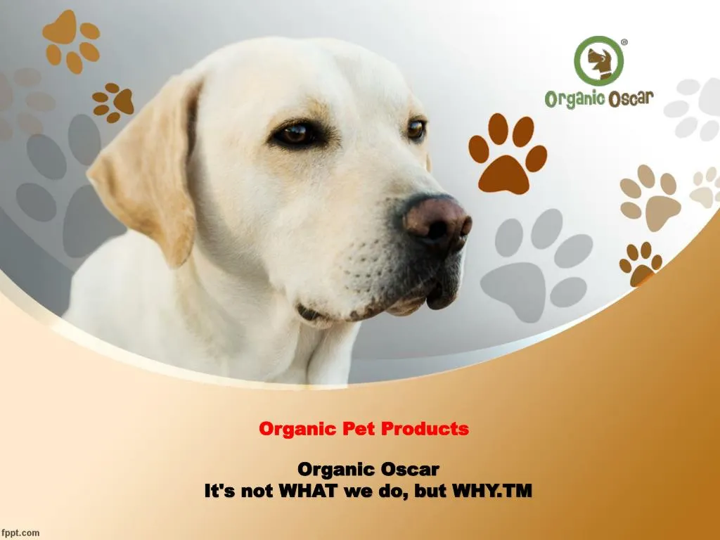 organic pet products