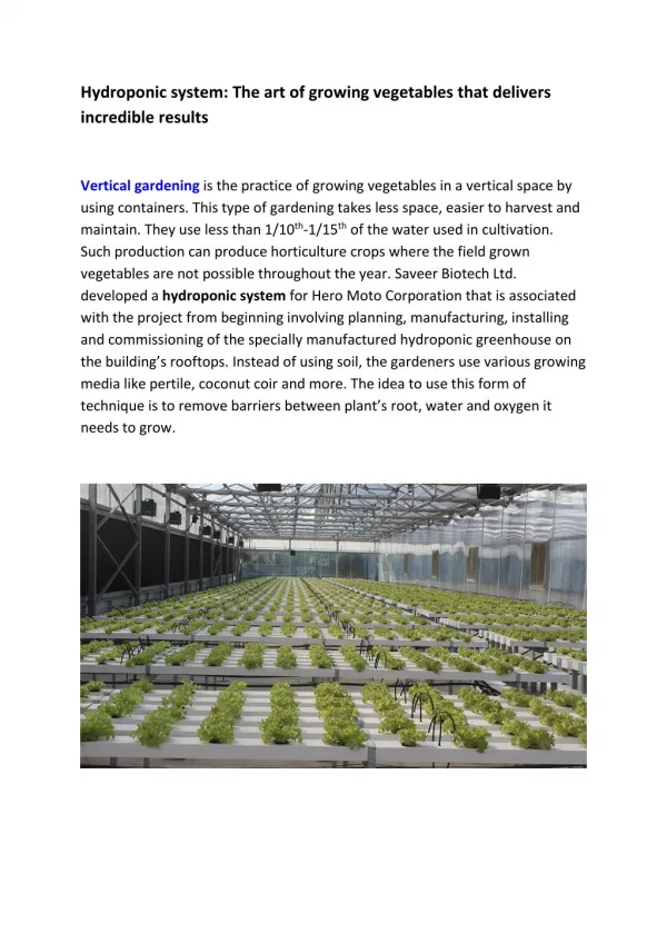 Hydroponic system: The art of growing vegetables that delivers incredible results