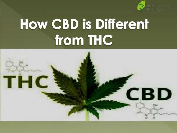 How CBD is different from THC