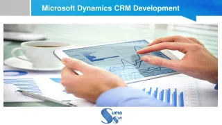Microsoft Dynamics CRM Development - slide 1