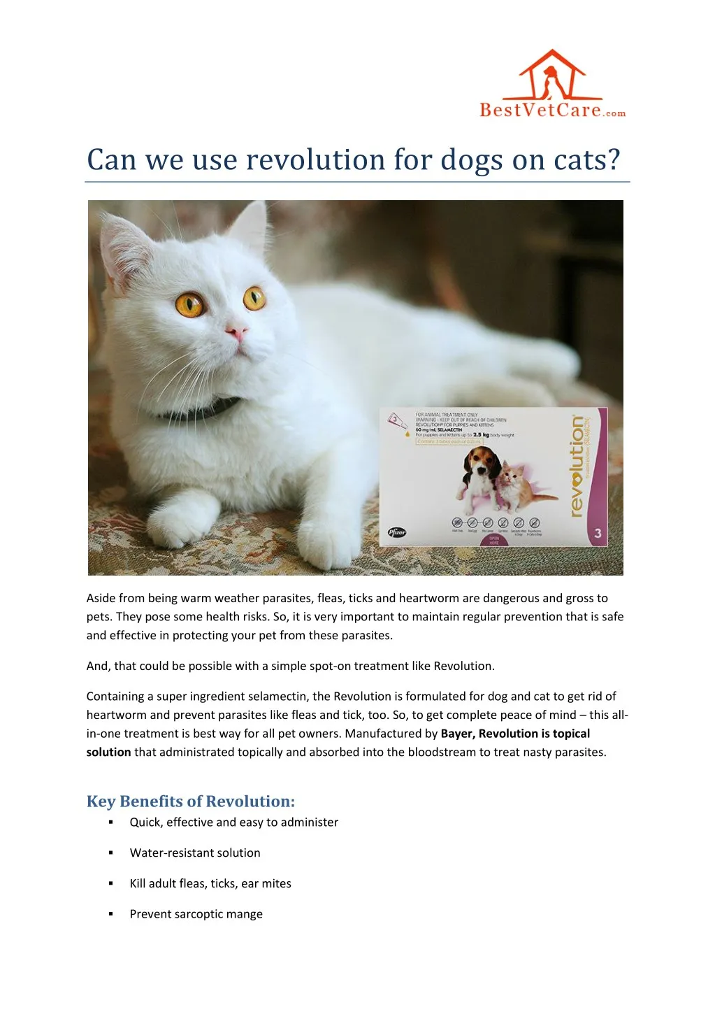 can we use revolution for dogs on cats