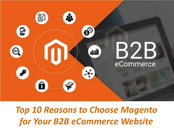 Top 10 Reasons to Choose Magento for Your B2B eCommerce Website