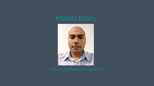 Attaalla Elroby - Experienced Professional From Marblehead, Massachusetts
