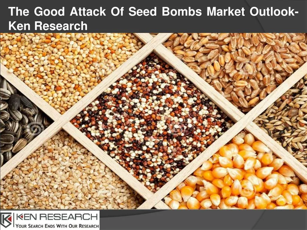 the good attack of seed bombs market outlook