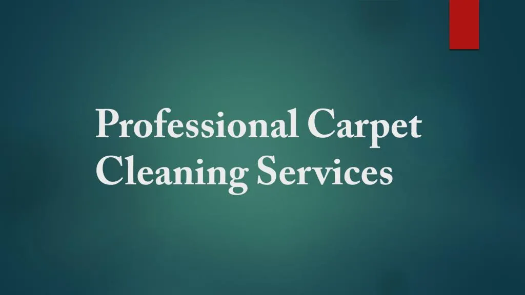 p rofessional c arpet cleaning s ervices