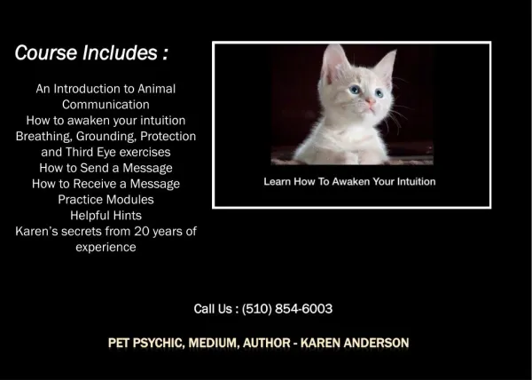 Animal Communication Courses & Film