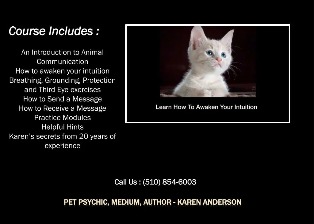 pet psychic medium author karen anderson