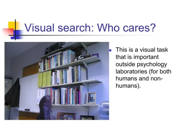 Visual search: Who cares