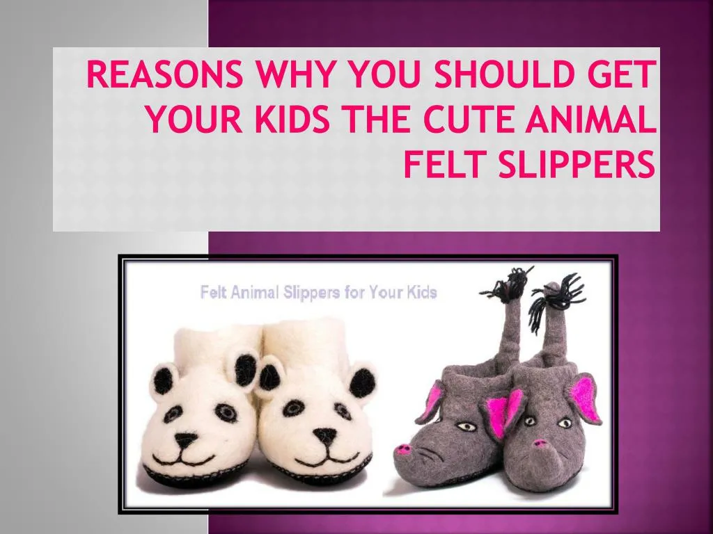 reasons why you should get your kids the cute animal felt slippers