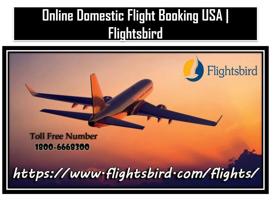 online domestic flight booking usa flightsbird