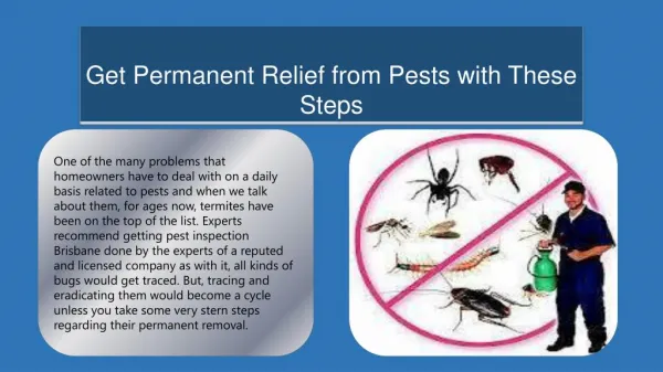 Get Permanent Relief from Pests with These Steps