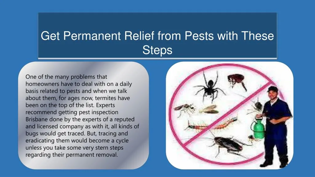 get permanent relief from pests with these steps