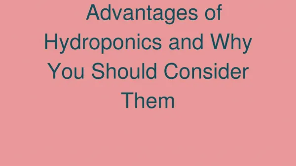 Advantages of Hydroponics and Why You Should Consider Using Them