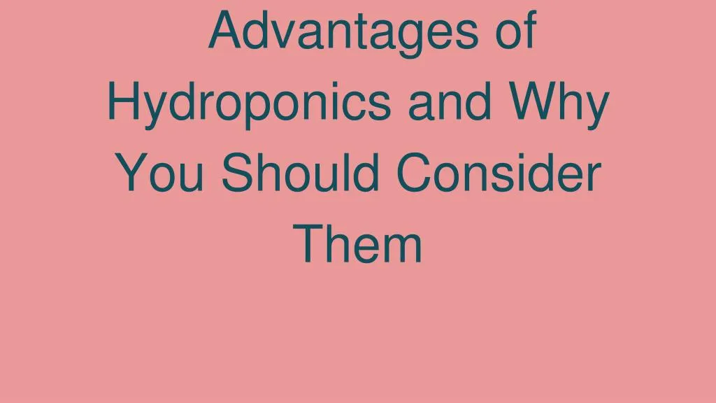 advantages of hydroponics and why you should consider them