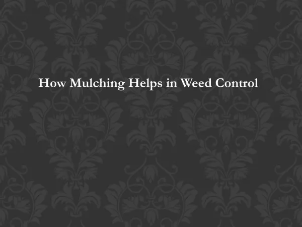 How Mulching Helps in Weed Control