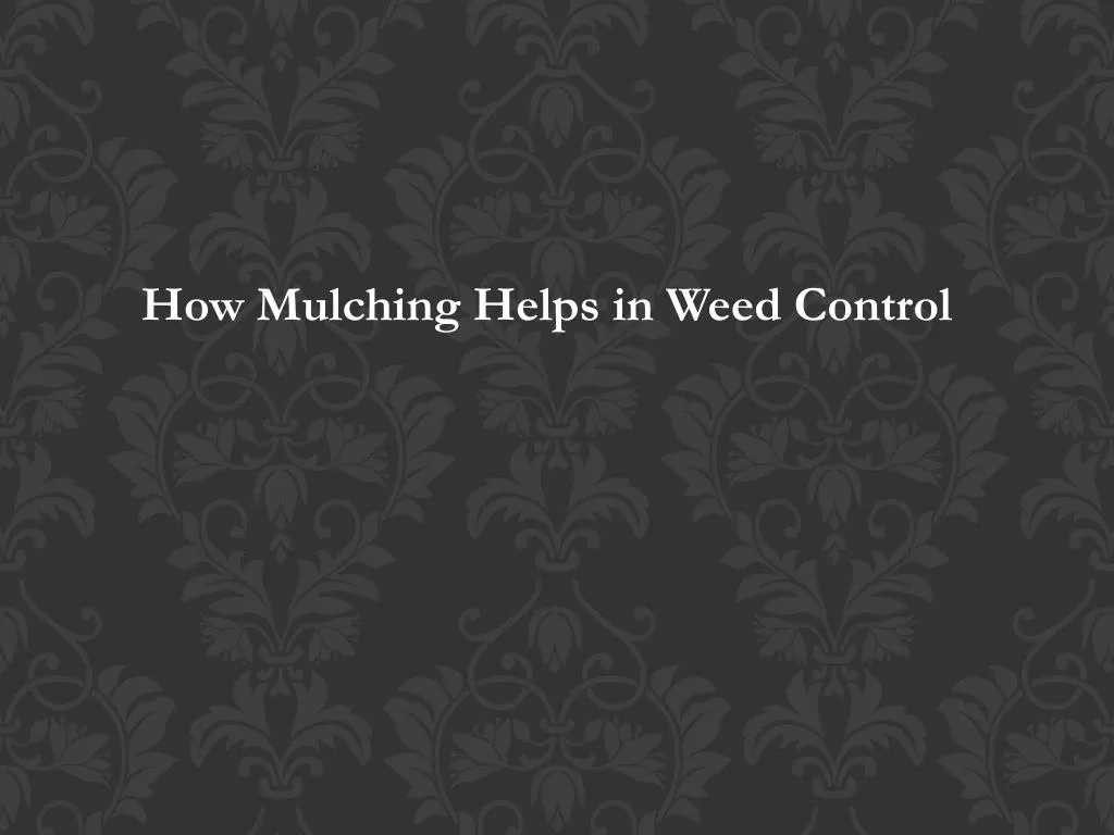 how mulching helps in weed control