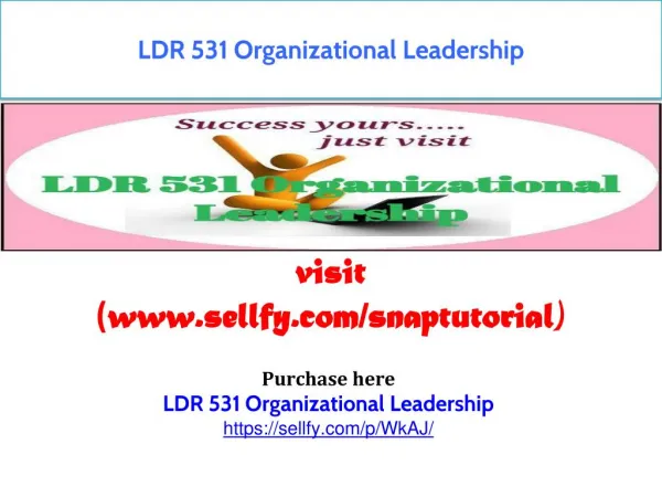 LDR 531 Organizational Leadership