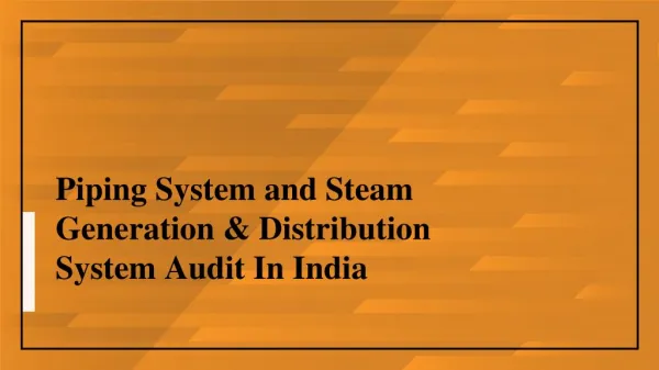 Piping System and Steam Generation & Distribution System Audit In India