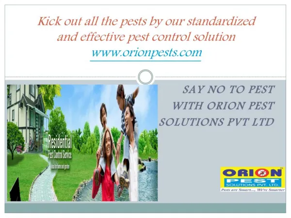 Kick out all the pests by our standardized and effective pest control solutions