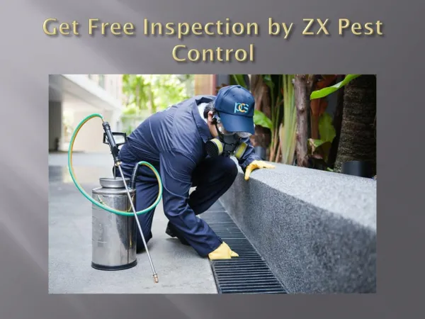Get Free Inspection by ZX Pest Control