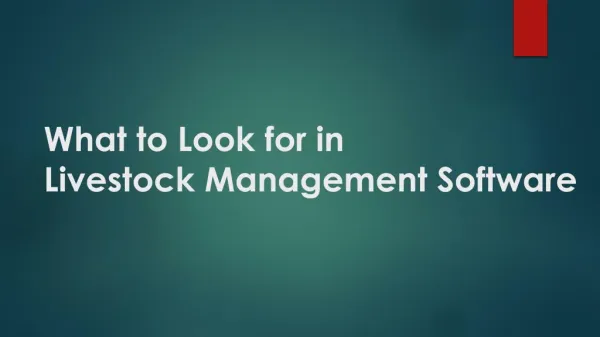 Points to Consider Before Choosing Livestock Management Software