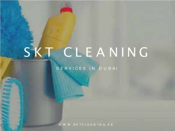 Professional Cleaning Services & Companies Dubai