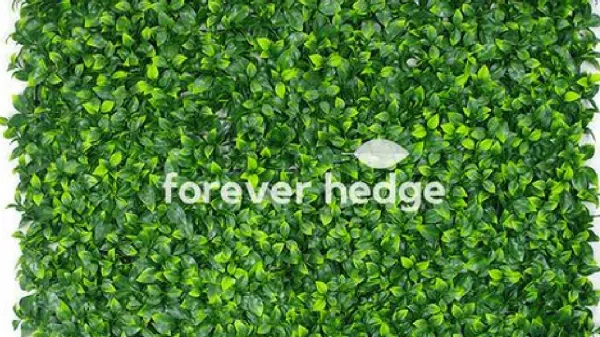 Fake Indoor plants - Forever Hedge