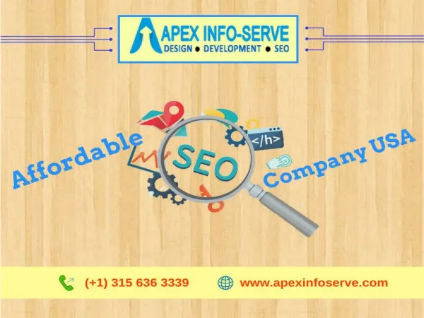 Affordable SEO Company USA from NY-Apex Info-Serve