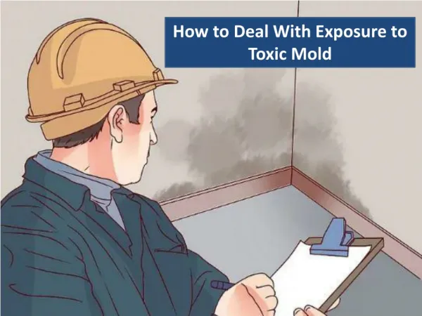How to Deal With Exposure of Toxic Mold