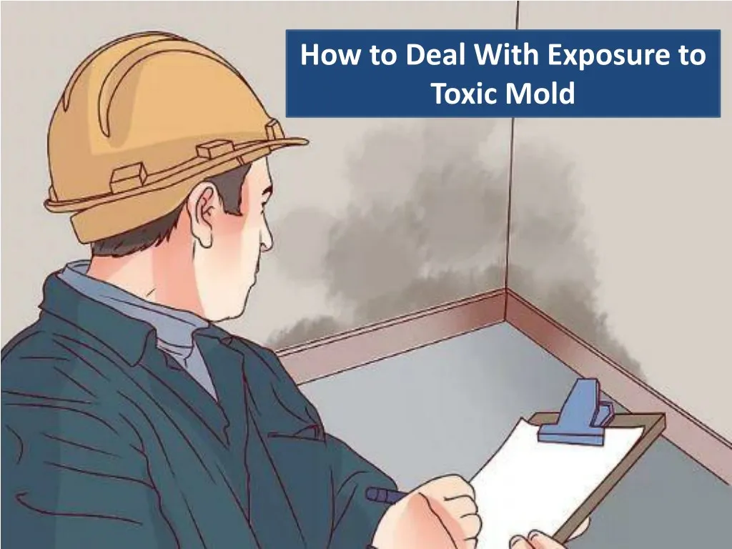 how to deal with exposure to toxic mold