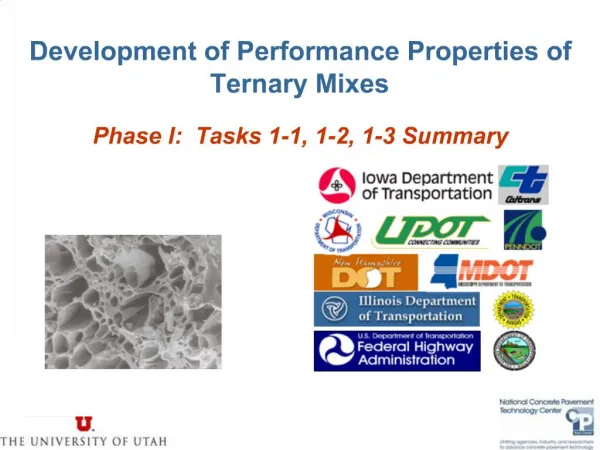 Development of Performance Properties of Ternary Mixes