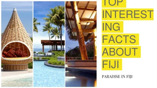 Top interesting facts about fiji